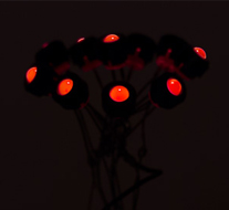BOUQUET DE LUMIÈRE 3